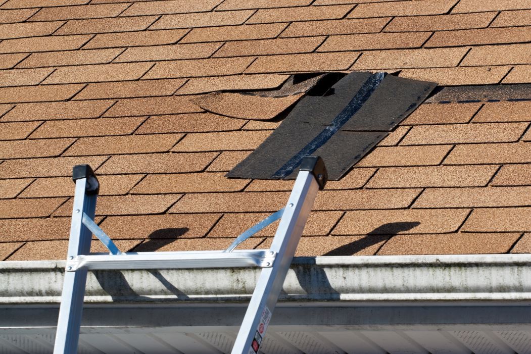 Roofing Myths Debunked: What Homeowners Should Know